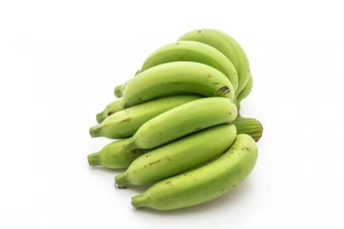 Green banana Wholesale high quality green banana fresh fruit Vietnam supplies banana green natural taste