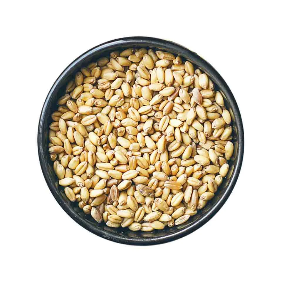 PREMIUM QUALITY Wheat Grain in Bulk / Hight Quality Wheat, Whole