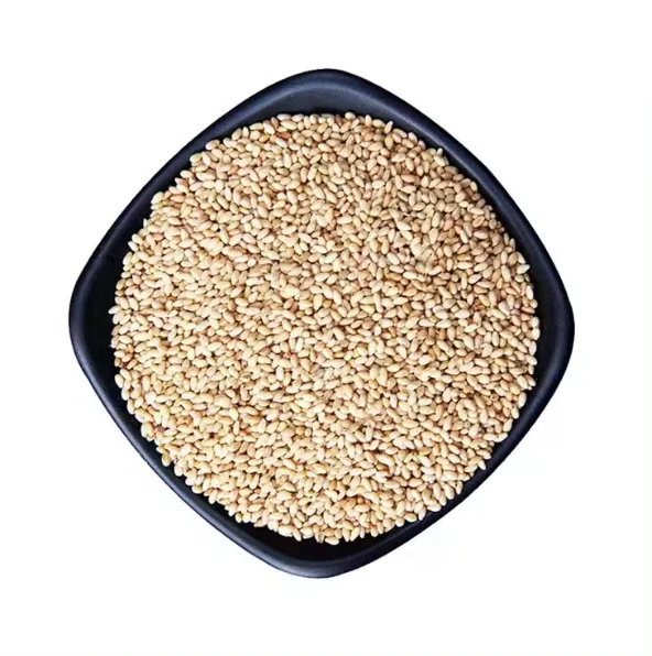 Wholesale Dried White Sesame Seeds Organic Sesame Seeds Sesame Price Per Ton