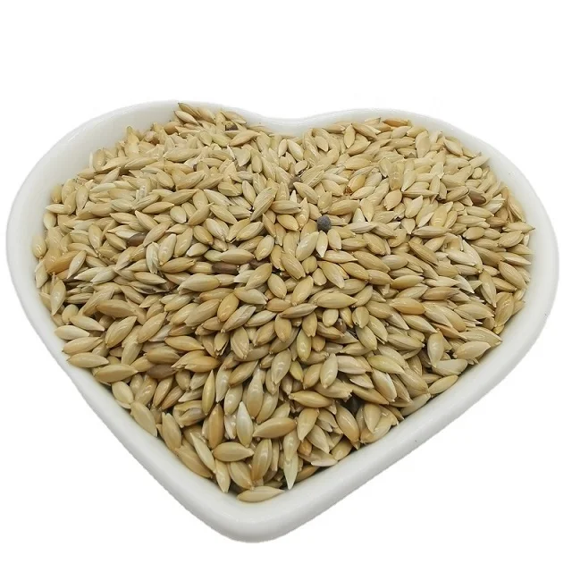 canary seed9.jpg