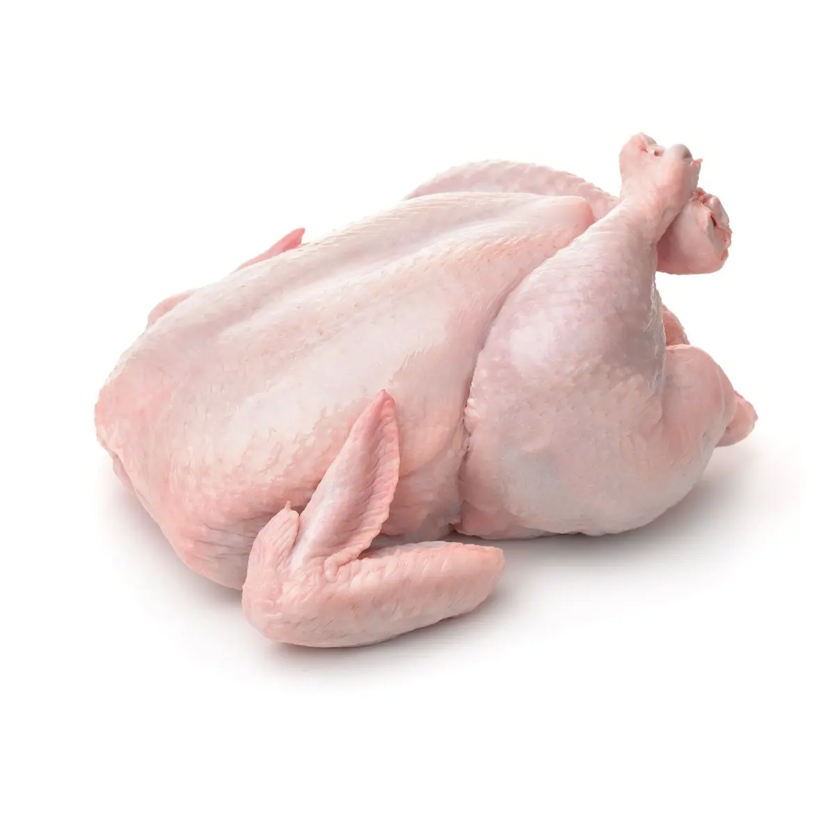 Frozen Whole Chicken For Sale - Buy Wholesale Frozen Griller - Bulk buy chicken