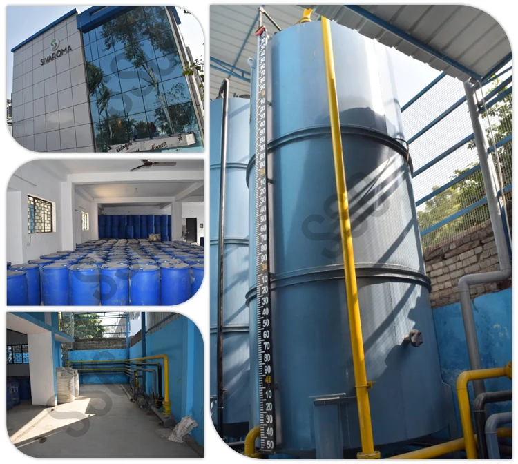 Widely Used Rose Leaf Powder Bulk Supply Solvent Extraction Type 100% Pure and Organic Rose Extract for Sale