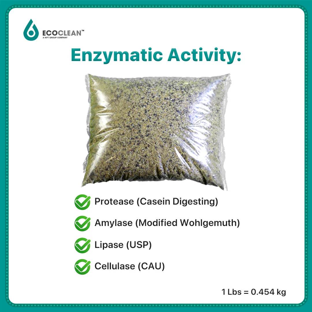 Sewage Treatment Specially Formulated for Landfill Leachate and Lagoon Problems Biological Probiotics- 5 billions CFU/Gram