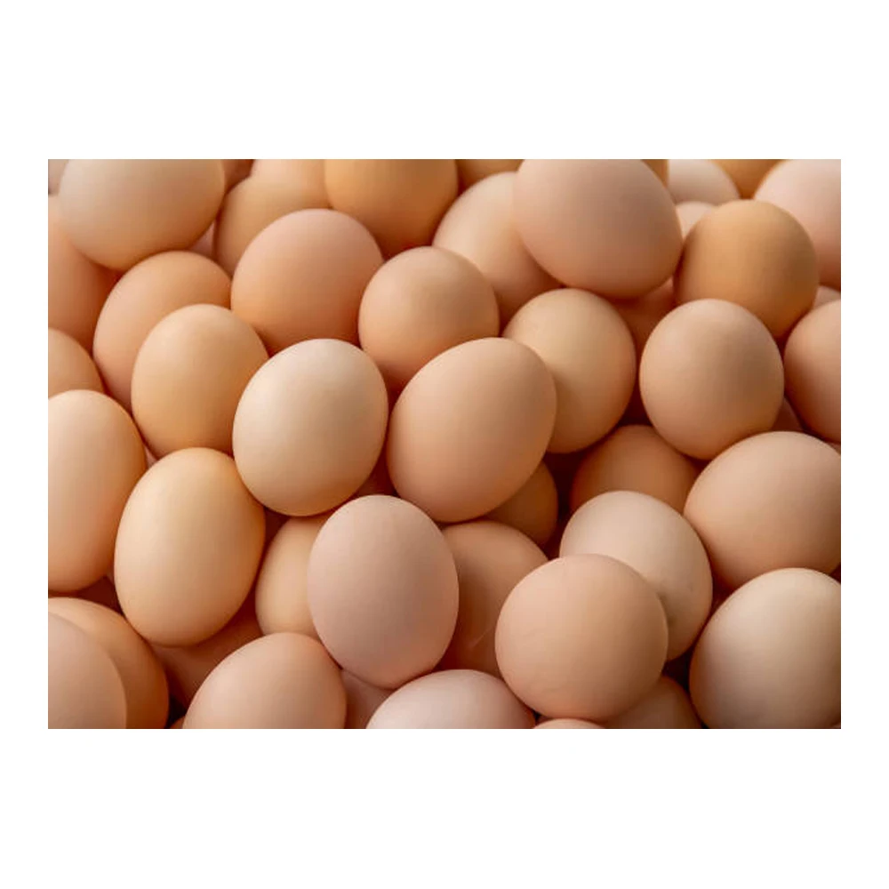 Best Factory Price of Natural Brown Table Chicken Eggs For Sale