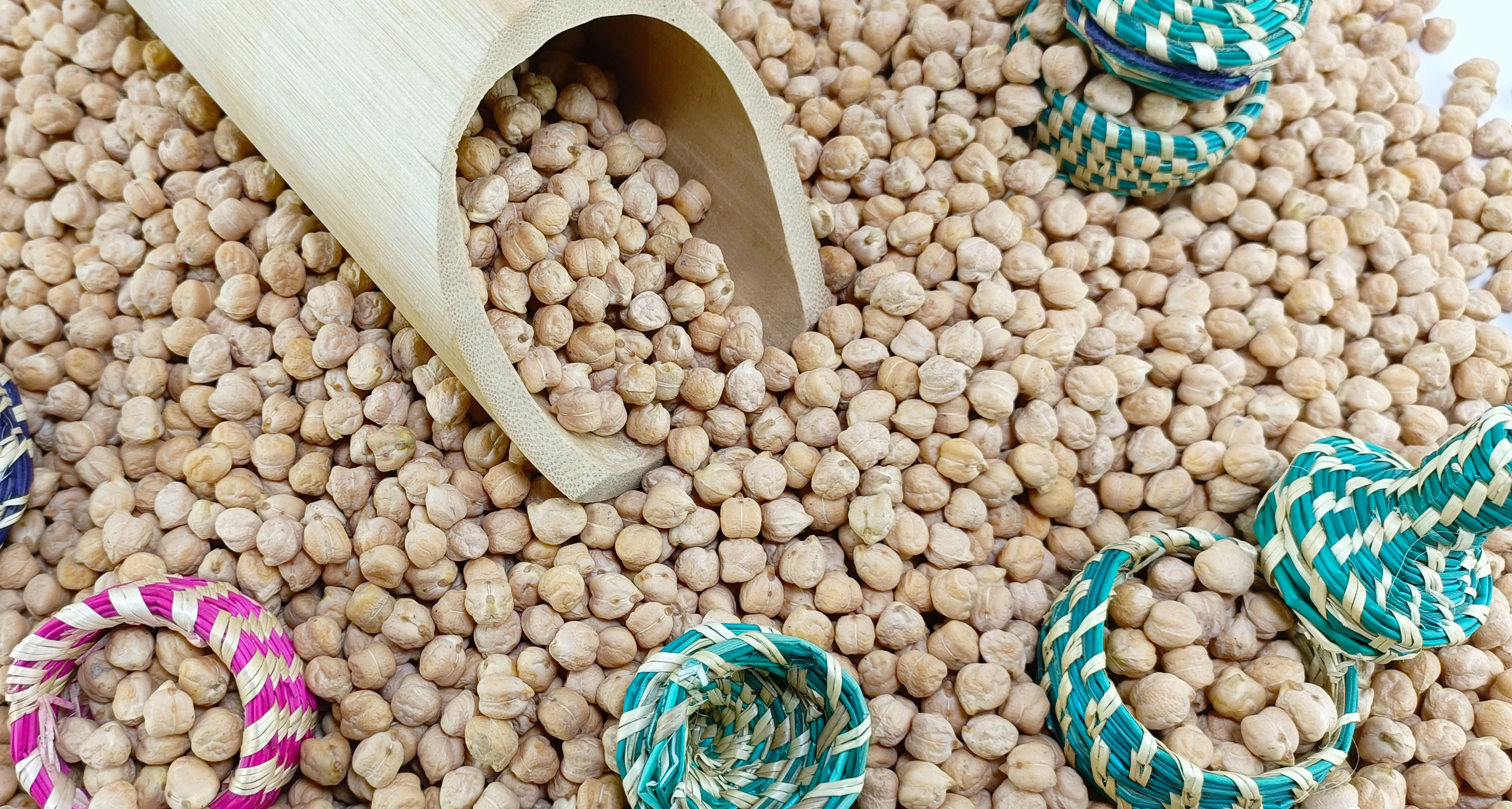 Kabuli Chickpea DP-54