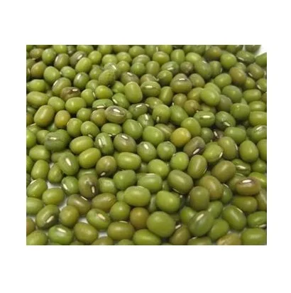 Direct Supply moong dal 3.8mm big size vigna beans mung dal Sprouting Green mung beans Bulk Fresh Stock Available For Exports