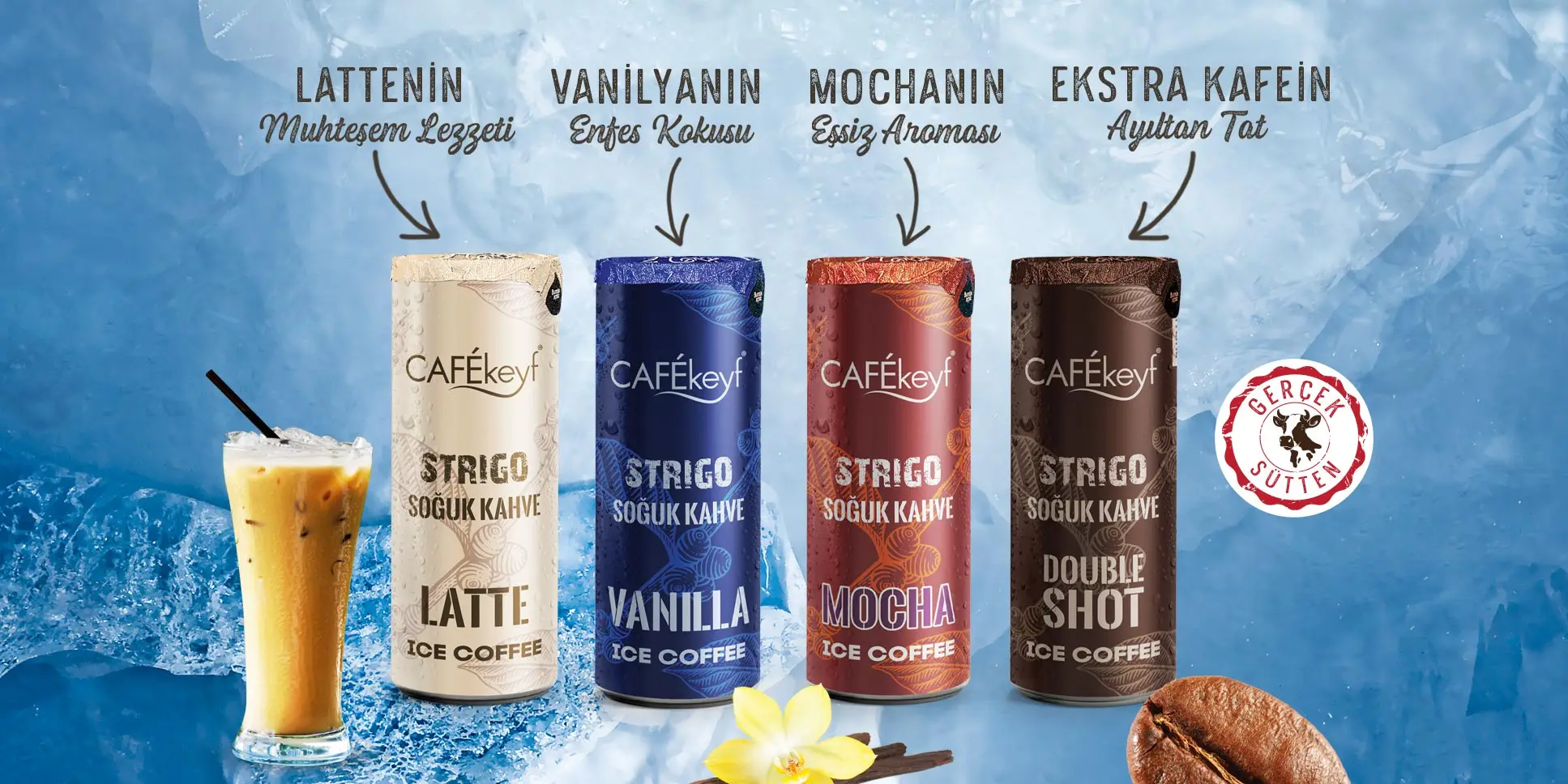 Doubleshot, Latte, Vanilla, Mocha Flavored Iced Coffee 250 ml  x 12 Fresh Data And New stock From Turkey