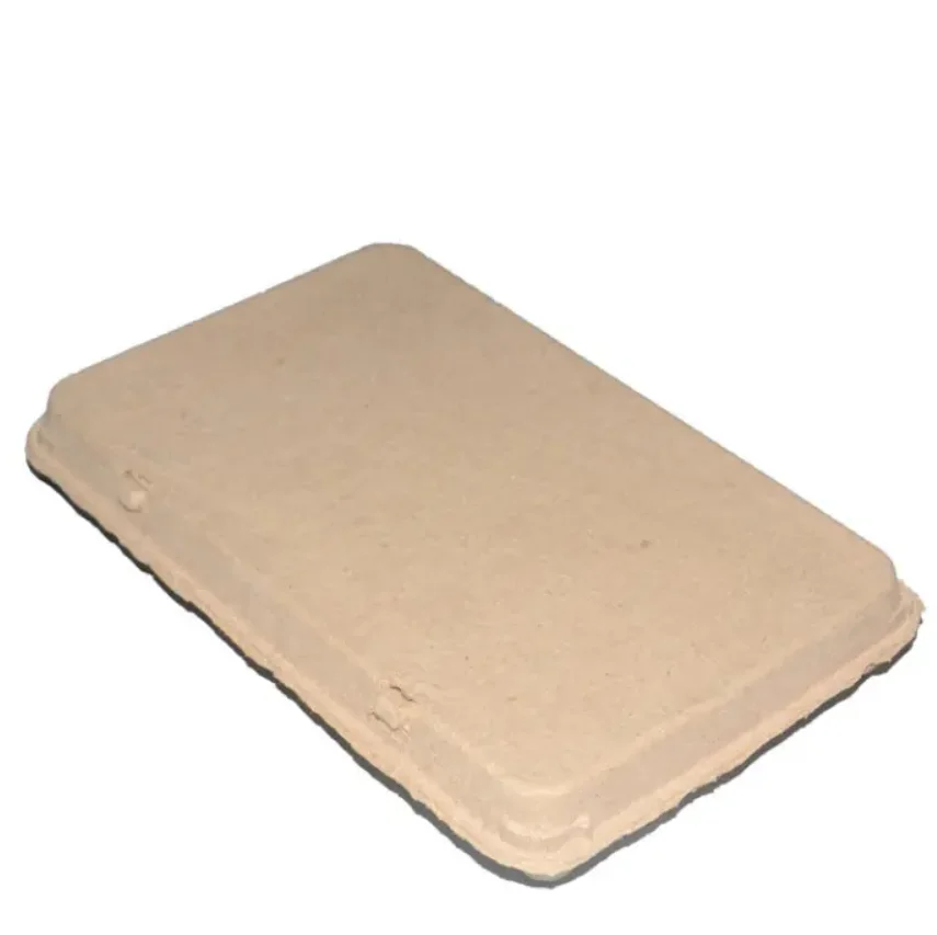 Eggs Packaging Box Cartons Egg Trays Chicken Paper Pulp Bagasse Pulp Egg Tray Cheap Price