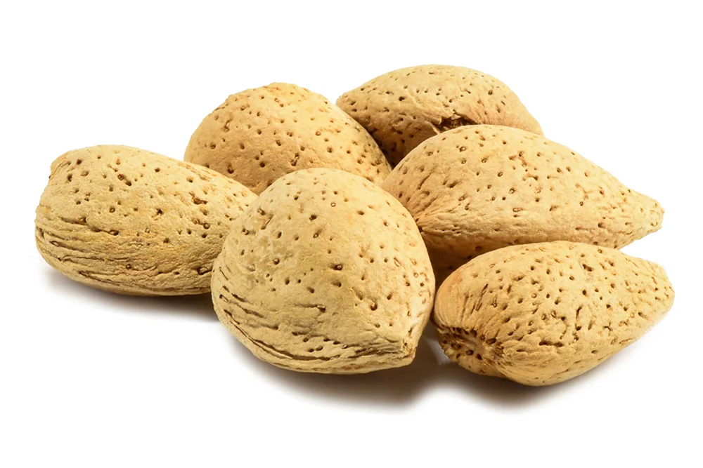 Миндаль в скорлупе (твердый сломанный), высокое качество, натуральный объем 10 кг в коробке, миндаль из Узбекистана, орехи Миндаля в скорлупе для пищевых продуктов