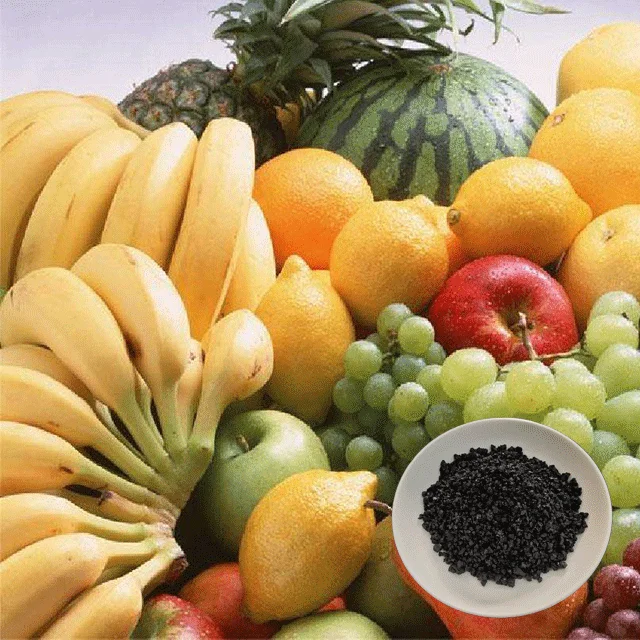 hot sale 100% water soluble organic fertilizer potassium humate granule