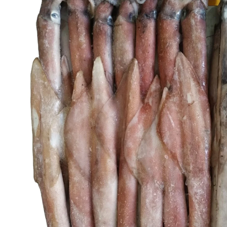 FRESH SEAFROZEN LOLIGO SQUID WHOLE ROUND  HOT SELLING TASTY ITEM 24 MONTHS SHELF LIFE INDONESIAN ORIGIN