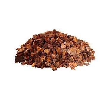 coral  supply Pine Bark Extract Powder Wholesale indian  Maritime Pine Bark Extract 95% OPC Pine Bark Extract