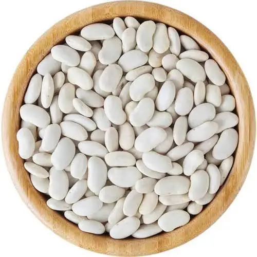 100% Organic Natural Agriculture Product Large White Kidney Beans Raw Style Dry White