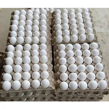 Оптовая продажа свежих куриных Столовых Яиц коричневые и белые куриные яйца для продажи/свежие куриные столовые яйца коричневая и белая скорлупа