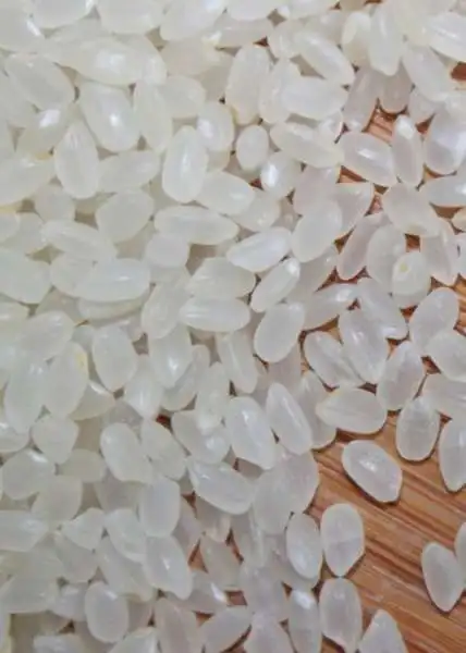 MEDIUM GRAIN / CALROSE / CAMOLINO RICE FOR BEST OFFER.