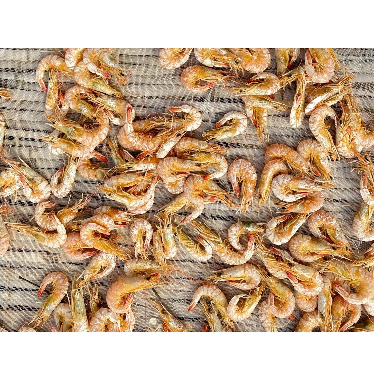 Air Drying Wholesale Best Price Flavored Vacuum Pack 5 months Shelf Life Seafood Certificated OEM Dried Shrimp from Vietnam