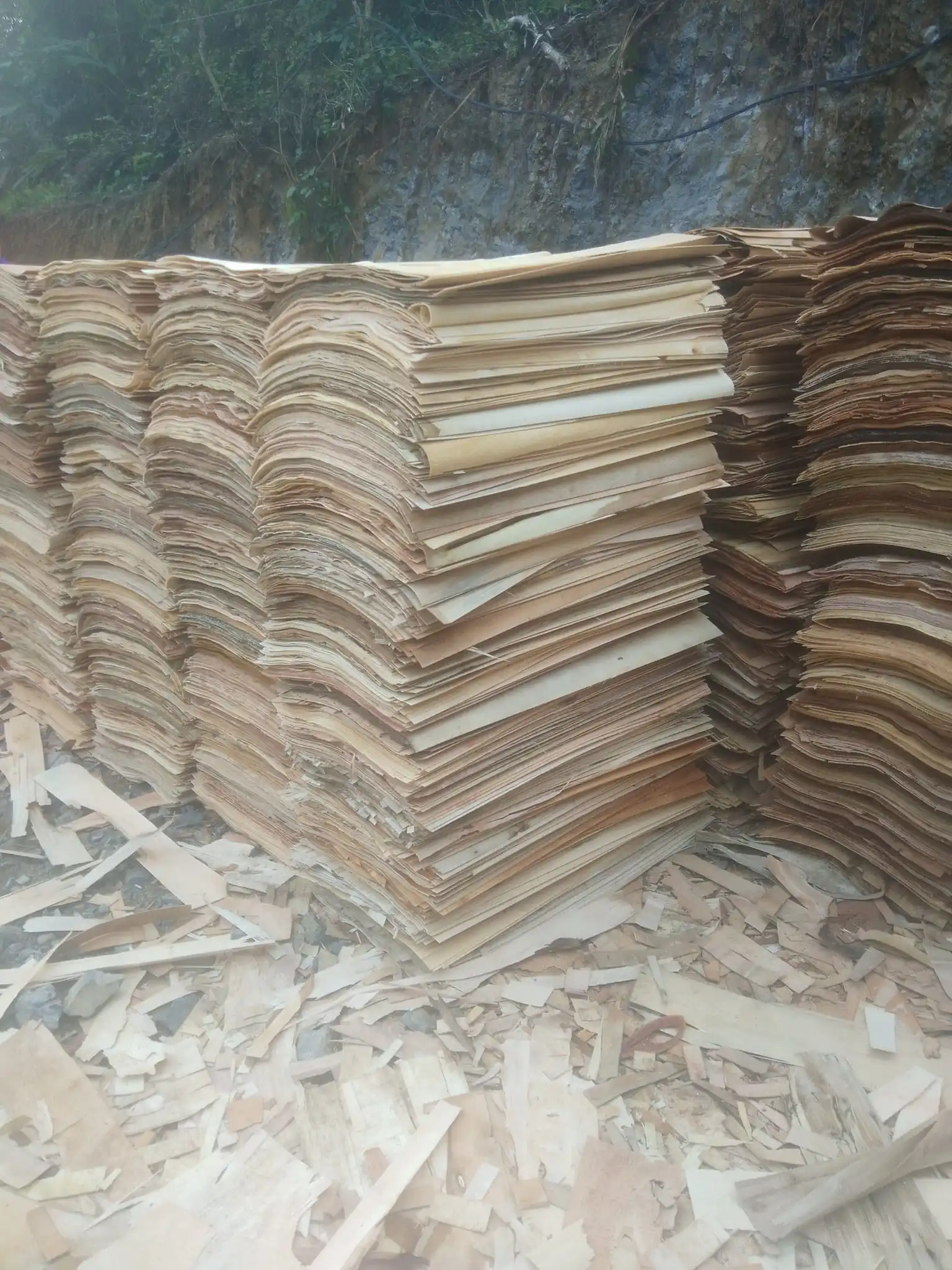Wholesaler Acacia/eucalyptus/rubber Core Veneer A/B Quality  Best Price from Vietnam Plywood