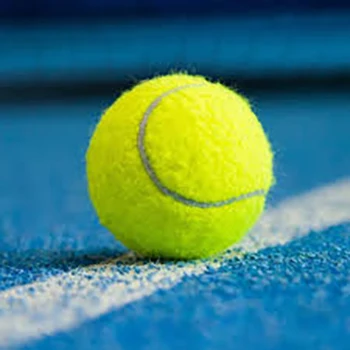 High Quality Padel ball manufacture paddle Racing ball with Professional use