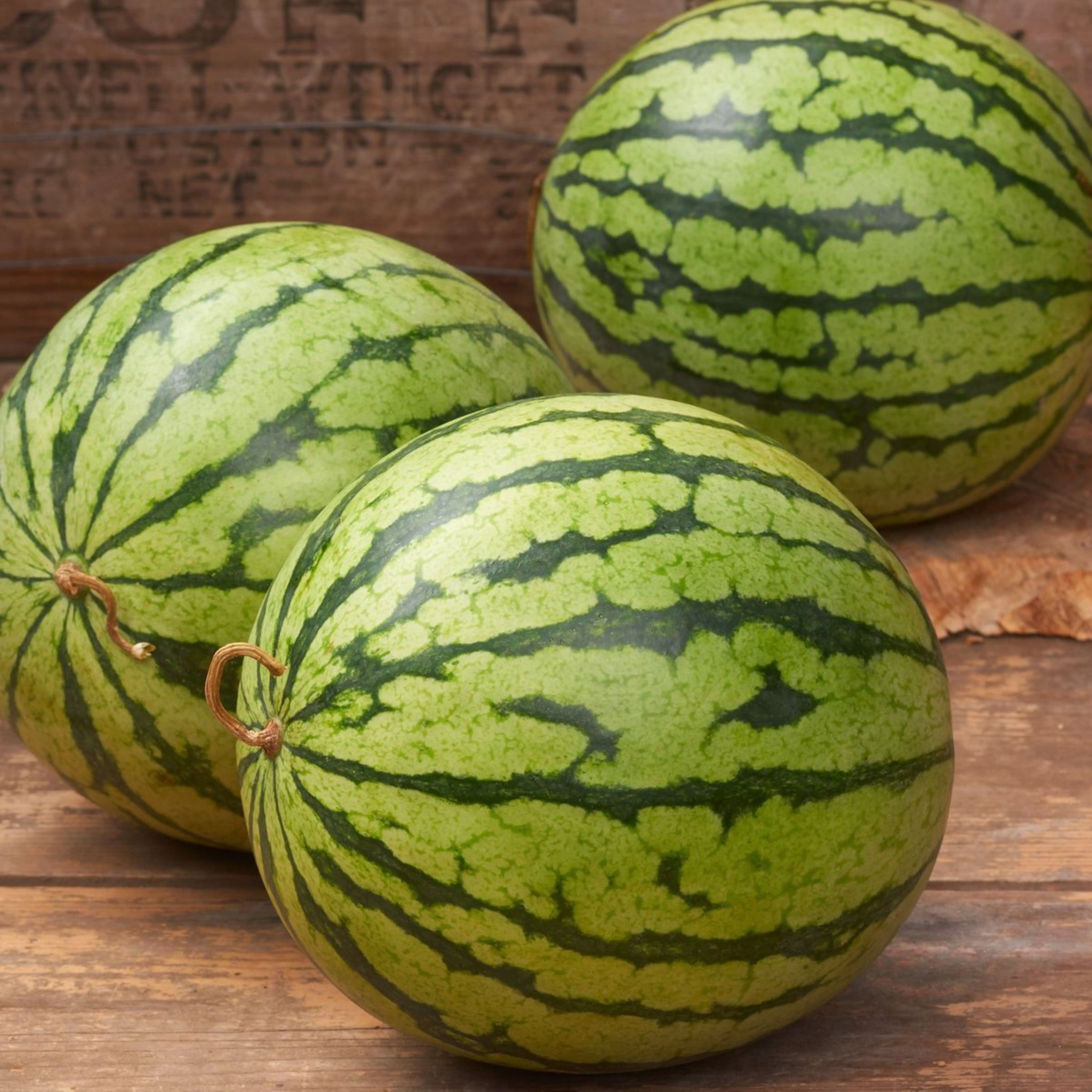 melon7.jpg