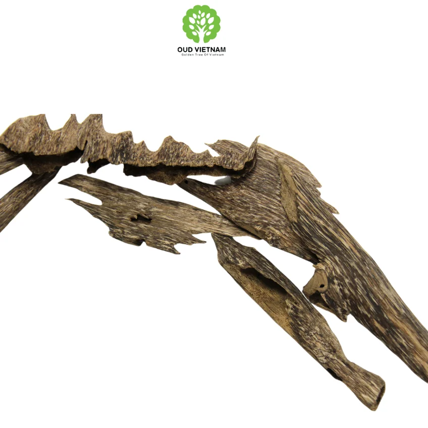 Natural Premium 100% Organic Agarwood Chips in Vietnam Oudh Incense Stick Fragrance wood Oud Very Eaglewood Gharuwood