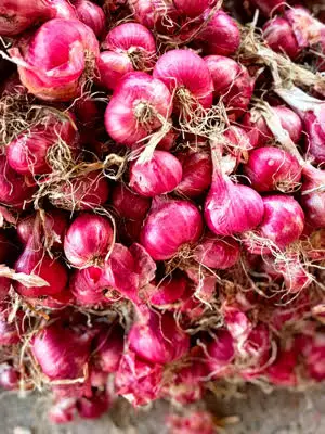 Лидер продаж, тайские овощные свежие красные шалоты + 66934602728 Сетчатая Сумка для лука, высокое качество, готов к экспорту из Таиланда