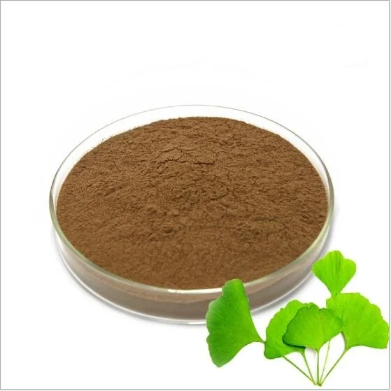 Wholesale Price Grade Ginkgo Biloba Leaf Extract Organic Ginkgo Biloba Extract Powder Gingko Extract