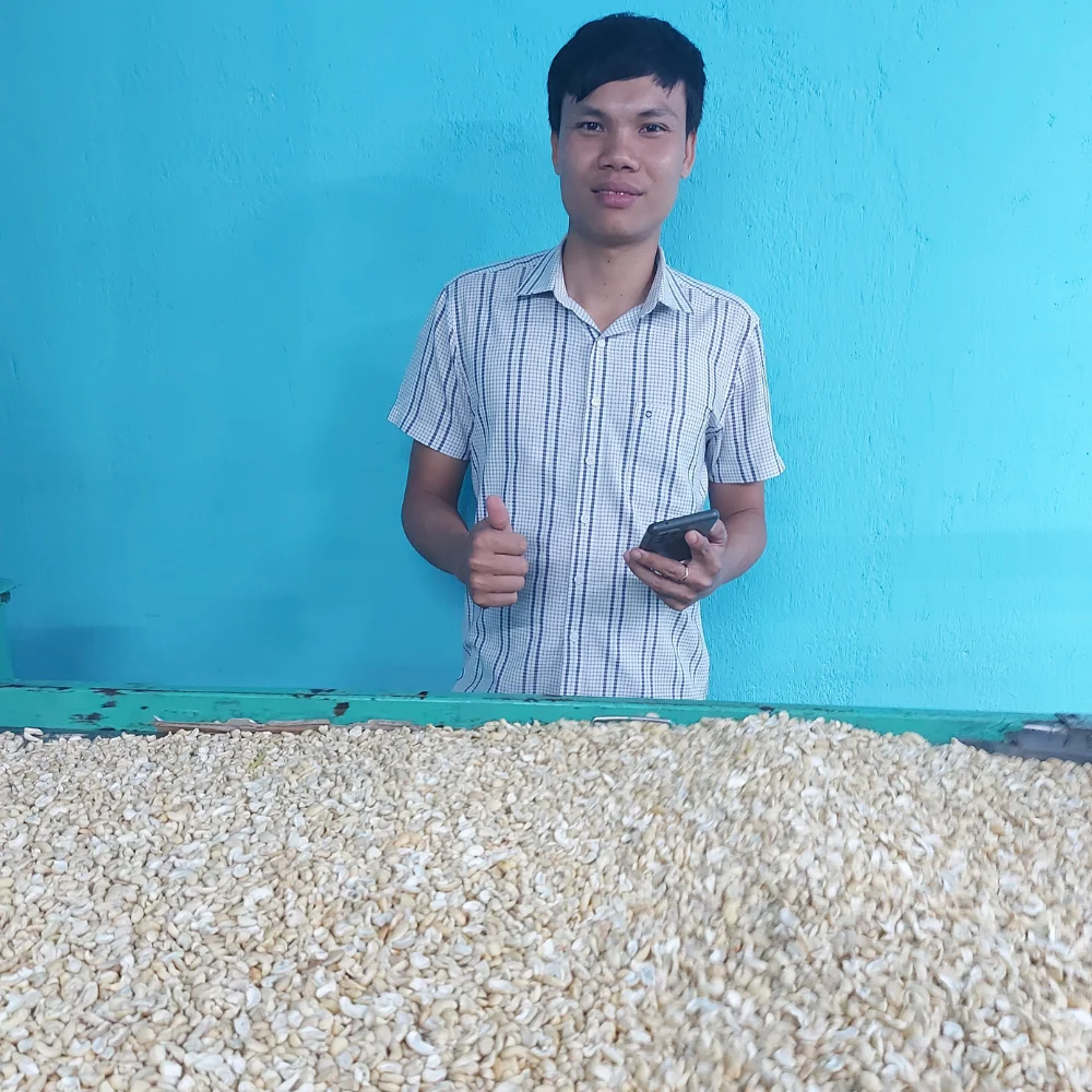 Wholesales Vietnam Cashew Nuts W320 W240 Cashew Nuts Cashew Nuts OEM, ODM, W/A +84932.028019