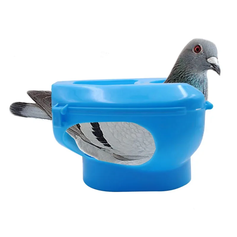 Plastic Racing Pigeon Holder Easy Bird Fixed Frame Rack Medicine Feeder Bird Tools Wholesale and retail