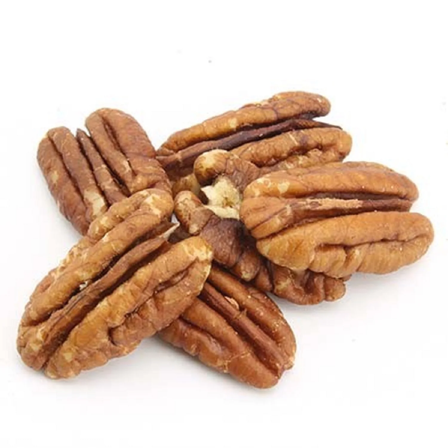 Good Quality Pecan nut in sale