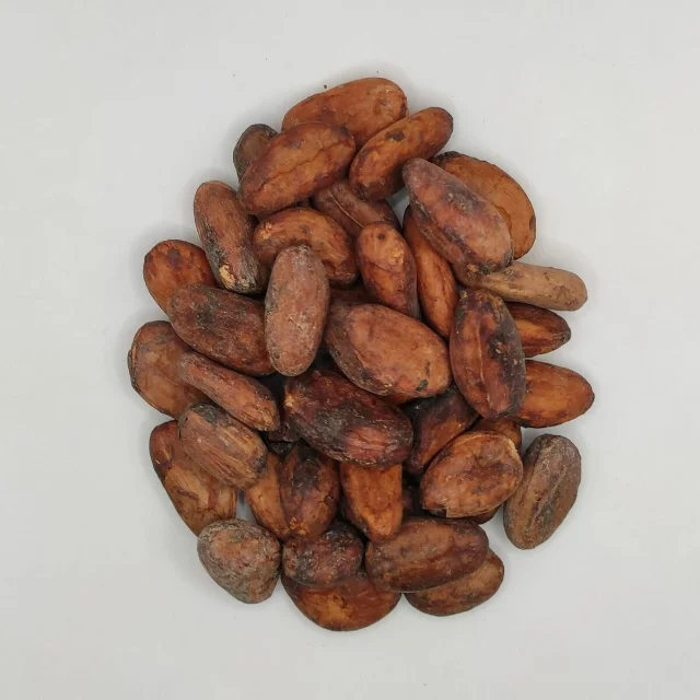 Raw Cacao Fermented