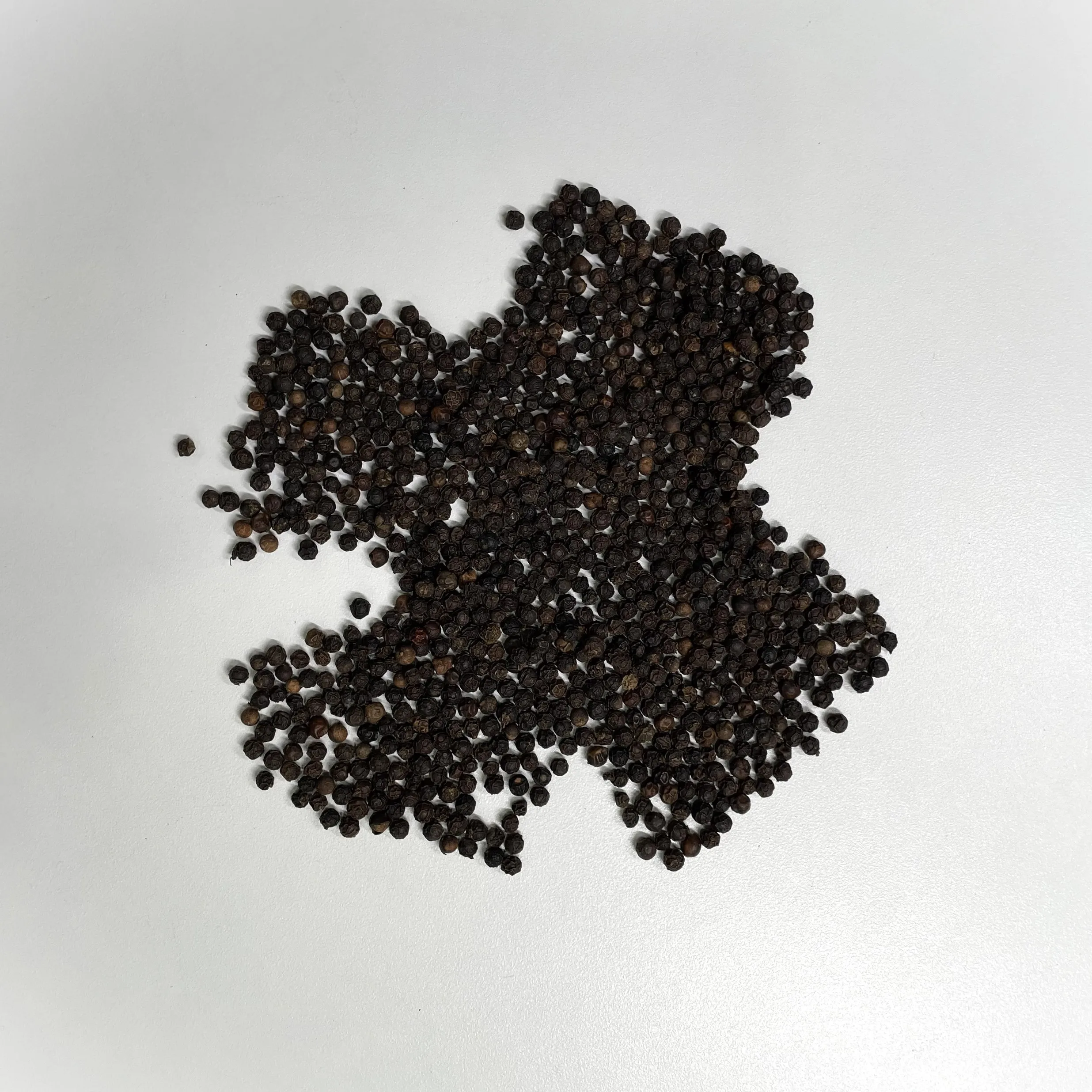 black pepper rate 550GL MC vietnam spices black pepper grinder ceylon souce black pepper 550 gl