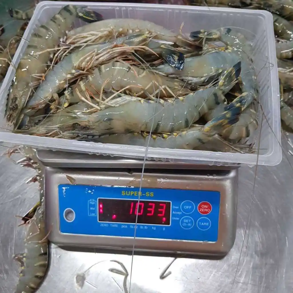 Горячая Распродажа, лучшее качество и Лучшая цена, свежие замороженные креветки 100%, ориентированные на экспорт