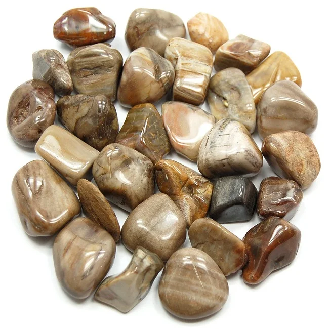 stone tumbled Petrified natural crystal tumbled healing bulk pebble agate Gemstone chakra petrified wood stone wholesale bulk