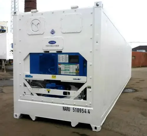 New  Refrigerated Freezer Frozen Fish and Meat Transport 20ft 20 ft Refrigerated Reefer Container