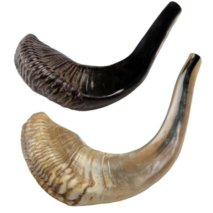 Лучший Kudu / Shofar Ram /Koshar Chofar