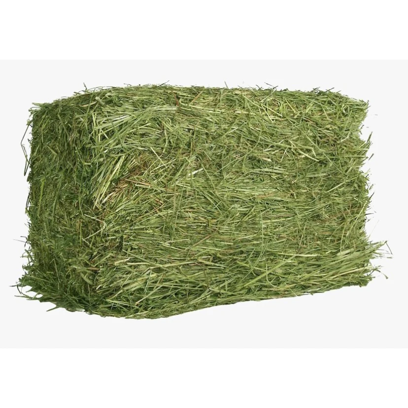 Alfafa Hay Animal Feeding Stuff Alfalfa, hay/alfalfa hay pellets Timothy Hay/ Alfafa in Bales