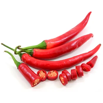 100% Natural Fresh Chili Peppers High Quality Chili Peppers at Wholesale Price from Manufacturer