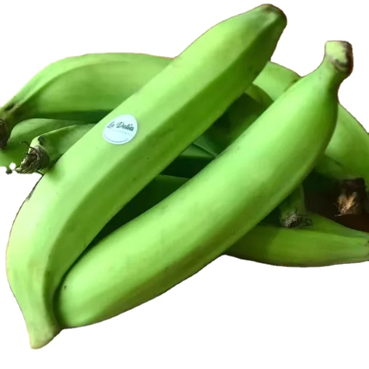 Global Freshness Wholesale Vietnamese Cavendish Bananas Unbeatable Export Deals on High Quality Bananas