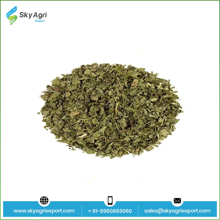 High Quality Pure 100% Coriander Leaves wholesale Spices Herbs Dry Coriander Leaves At  Bulk Price