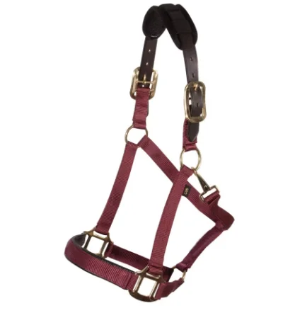 Wholesale Halter Nylon Head Collar Equipment Water-Proof Horse Halter Available At Wholesale Price