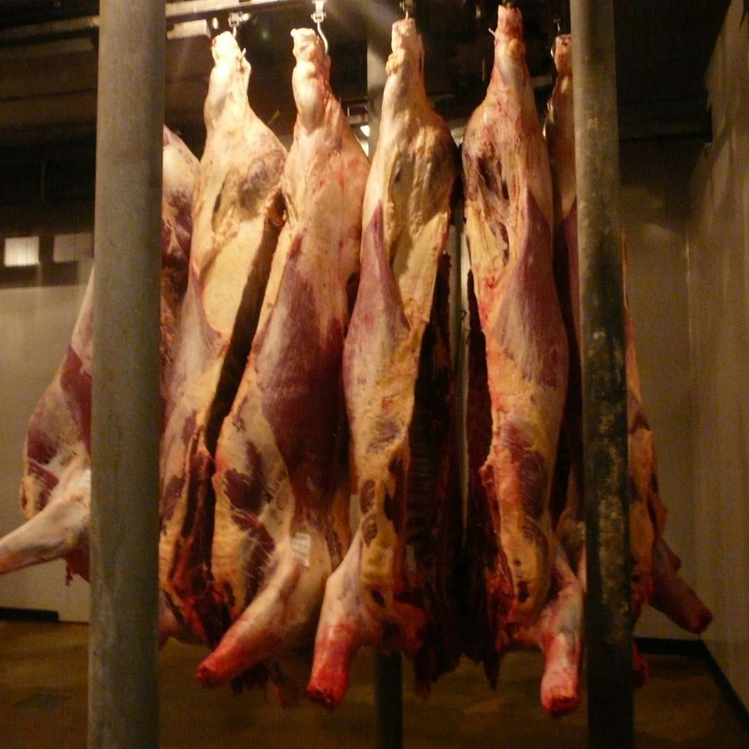 2022  HALAL FRESH FROZEN GOAT/ MUTTON MEAT/ LAMB MEAT