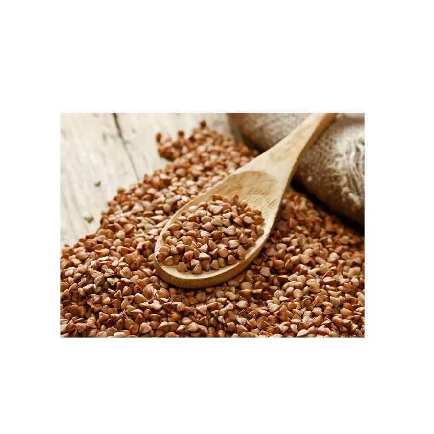 Оптовый Поставщик жареная гречка для продажи в дешевой