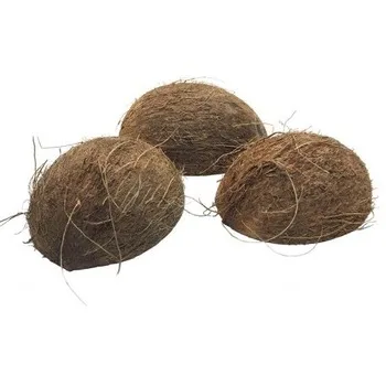 3-4cm Coconut Shell Origin  2021 cheap price / Broken Coconut Shell / unpolished Raw Coconut Shell