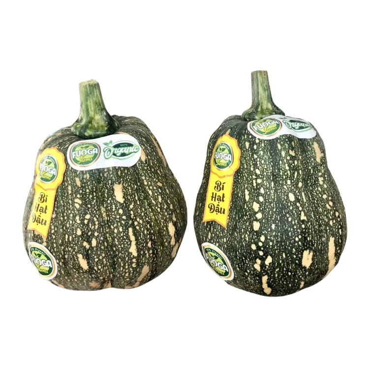 Свежие тыквы, оптовая продажа, хороший вкус, используются для упаковки еды в картонной коробке, изготовленной в вьетнамском производителе