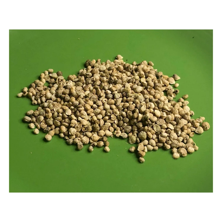 Hot Sale single row maize cabbage bean spinach seeds