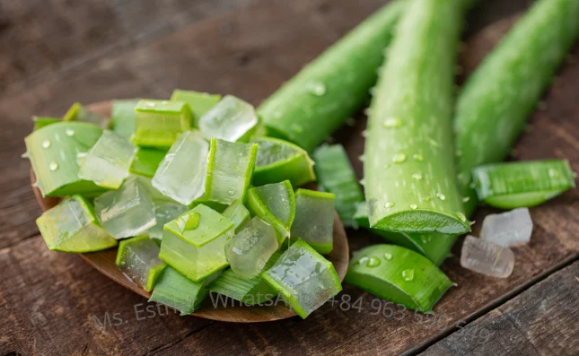 Best Seller Diced Aloe Vera Drinking Syrup - Barbadensis Miller//Ms. Esther