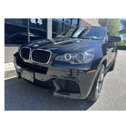 Чистый предварительно отжим 2011 B M W X6 AWD