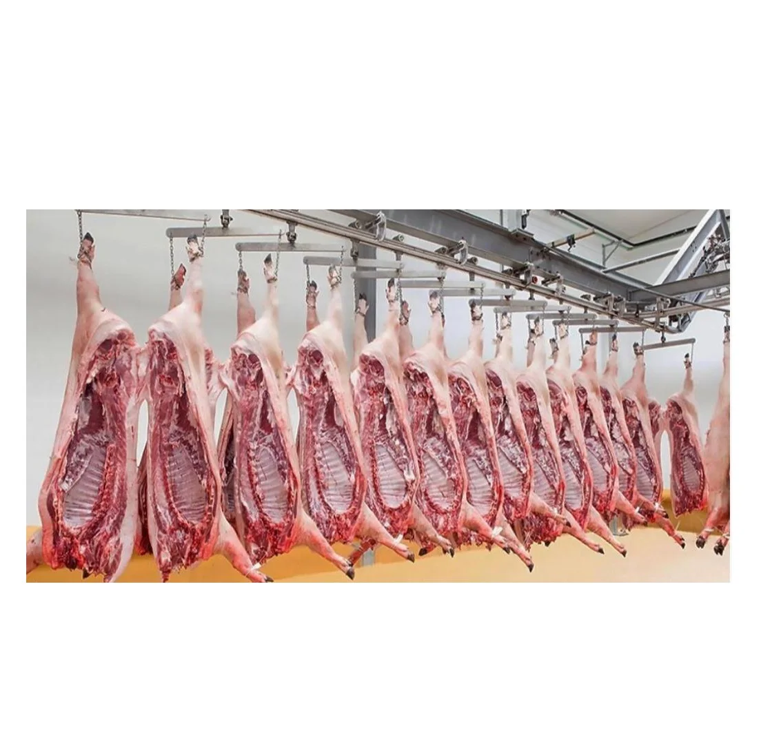 Wholesale Manufacturer and Supplier of Frozen Pork Whole Carcass Meat Best Quality Best Factory Price Bulk Buy Online