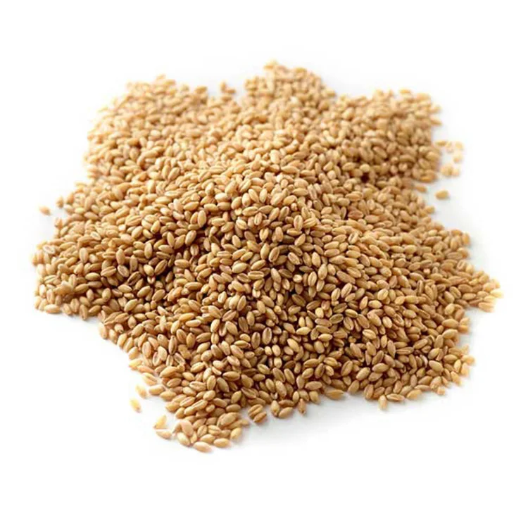 Hot Sales Delicious Taste High Grade Quality Soft and Hard Wheat Grains/Premium Quality Hard Wheat wholesale