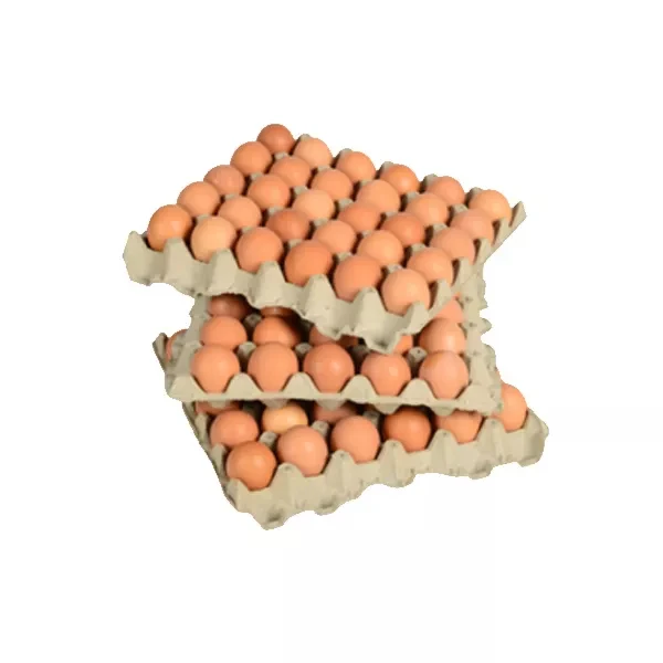 fresh Brown /white Shell Table Eggs /agriculture /chicken eggs